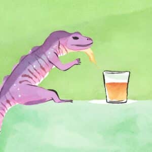 got your english blog image for the post '25 funny australian idioms', Flat out like a lizard drinking australian phrase