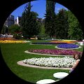 Емануела Петрова